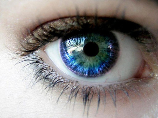 392643 (a): :1024x768